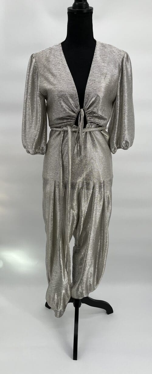 Rent - Silver Jumpsuit - Onesie by Shopia Heeg - Image 4