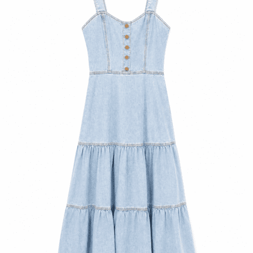 Carol Bassi Light Denim Maxi Dress